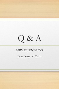 Q & A